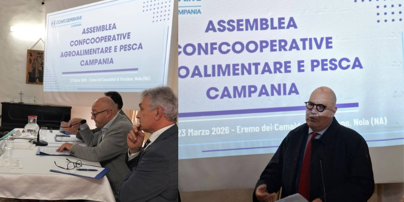 Confcooperative Agroalimentare e Pesca Campania, Mariano Rago è il nuovo Presidente
