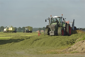 AMBIENTE, AGRINSIEME: “NON RICONOSCIUTO ADEGUATAMENTE  IL RUOLO POSITIVO DELL’AGRICOLTURA E DELLA SELVICOLTURA NELL’ASSORBIMENTO DI CO2”