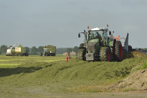 AMBIENTE, AGRINSIEME: “NON RICONOSCIUTO ADEGUATAMENTE  IL RUOLO POSITIVO DELL’AGRICOLTURA E DELLA SELVICOLTURA NELL’ASSORBIMENTO DI CO2”