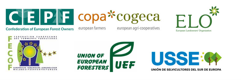 Sono necessari ulteriori provvedimenti per garantire che la semplificazione del regolamento UE sulla deforestazione diventi una realtà concreta per i proprietari e le cooperative forestali