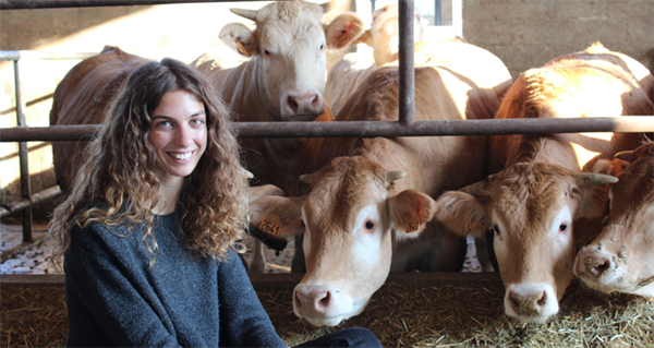 Bruxelles cambia passo sulla zootecnia, Confcooperative: “Riconosciuto il valore strategico... 