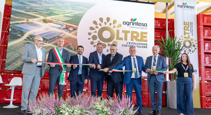 Agrintesa guarda “OLTRE”: a Castel Bolognese  il polo europeo del kiwi. Investimento da 25 milioni tra innovazione, digitalizzazione, e sostenibilità