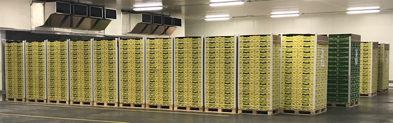 Dazi Usa: a rischio l’export agroalimentare Fvg