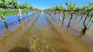 DL ALLUVIONE, CONFCOOPERATIVE «PROVVEDIMENTO GIUSTO CHE DÀ RESPIRO ALLE IMPRESE COLPITE. GRAZIE AL GOVERNO CHE HA ASCOLTATO LE NOSTRE RICHIESTE»