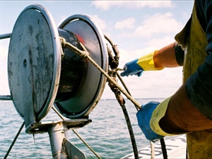 Riforma sanzioni pesca: Fedagripesca chiede allineamento UE per semplificazione L’associazione in Commissione Giustizia del Senato chiede delega a Governo per futuri aggiustamenti