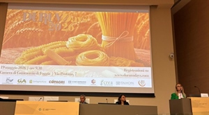 Grano duro, nel 2026 produzione nazionale si attesta su 3,8 mln di tonnellate (+5%). surplus produttivo per il mercato globale
