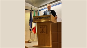 Crisi del grano duro, Drei al tavolo Masaf: “Premiare chi si aggrega e crea valore per gli agricoltori”