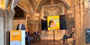 Riso, Drei: “Serve una rete di protezione contro clima e mercati, per garantire stabilità ai...