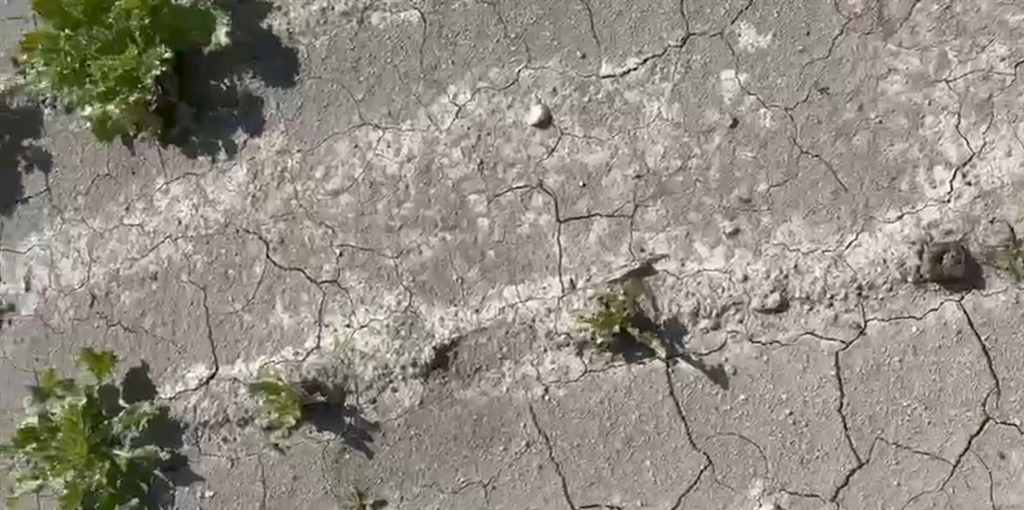 Insalate quarta gamma: per il ritorno alla normalità ci vorrà almeno un...