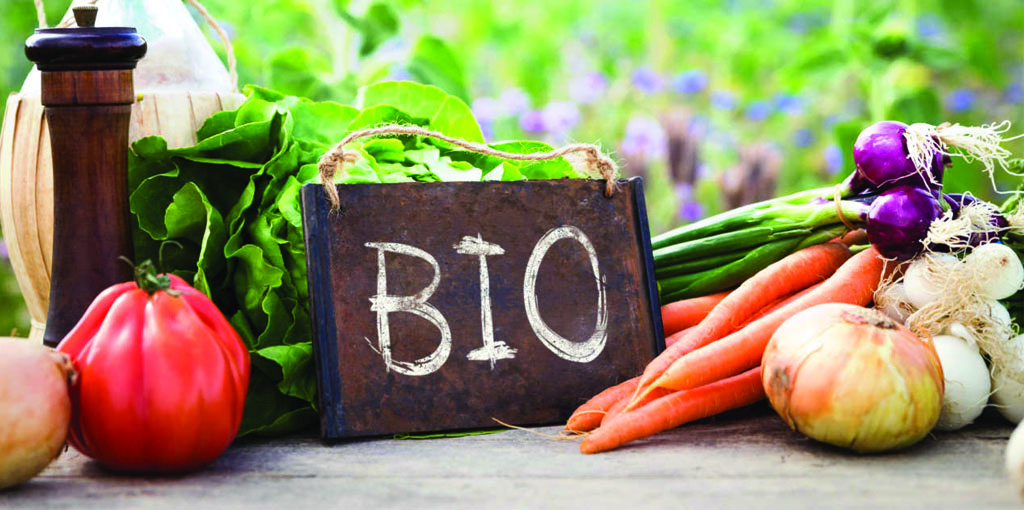 Biologico, nell’ortofrutta la quota di mercato è del 4%, ma con grosse potenzialità di sviluppo