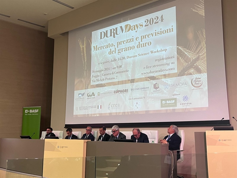 GRANO DURO, NEL 2024 ATTESE IN ITALIA 3,5 MILIONI DI TONNELLATE (-8%). PREVISIONI AL RIALZO NEI PAESI EXTRA-UE, CANADA (+40%)