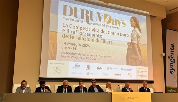 GRANO, PRODUZIONE NAZIONALE PREVISTA IN CRESCITA (+20%), MA RESTA INCOGNITA METEO. IN LEGGERO... 