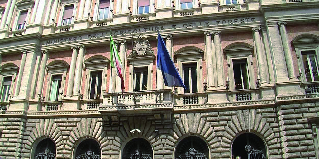 Carburanti: Alleanza delle Cooperative; welfare, flessibilità e risorse per traghettare la pesca fuori dell’emergenza La cooperazione scrive al Mipaaf affinché sostenga anche in Europa le istanze dei